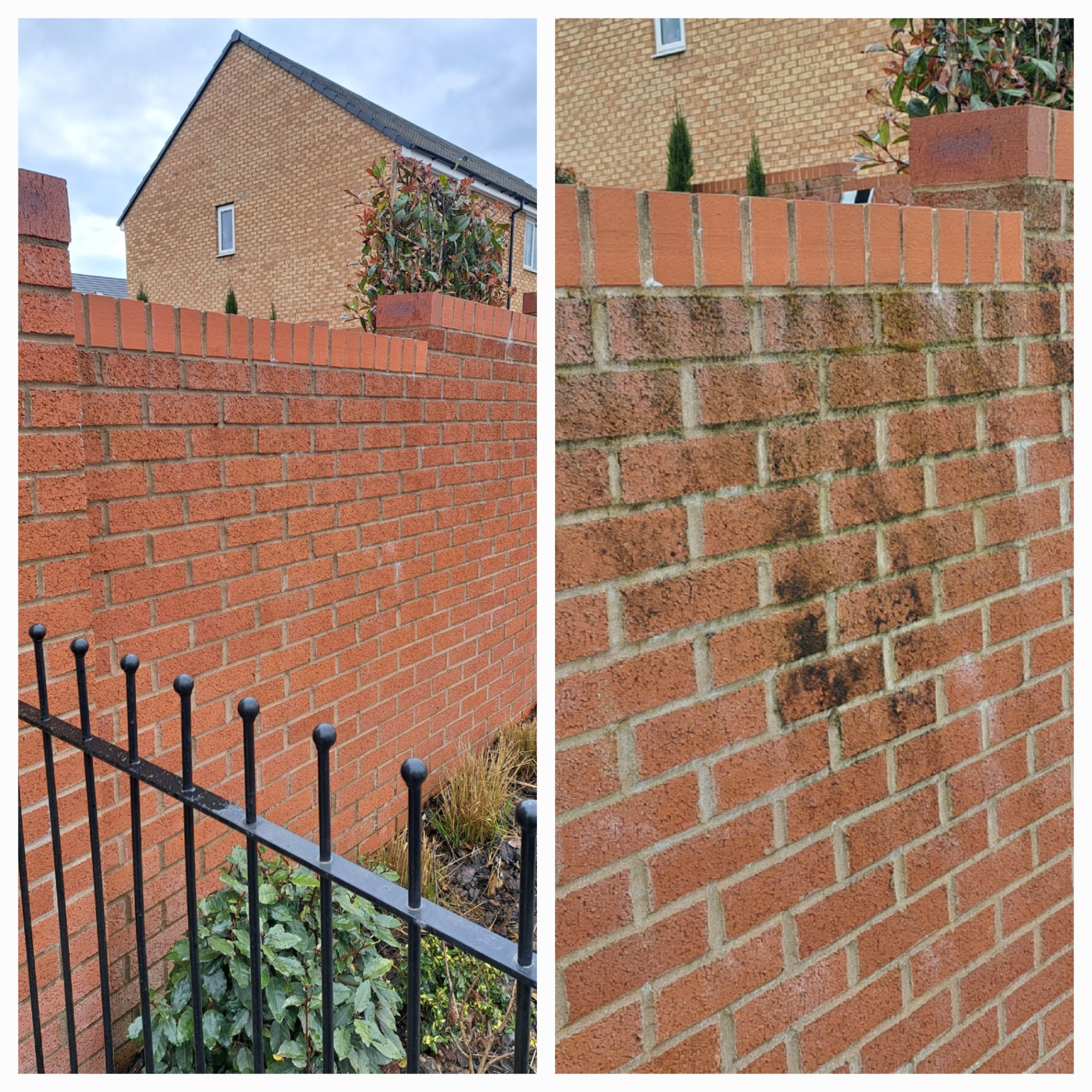 Brick wall cleaning