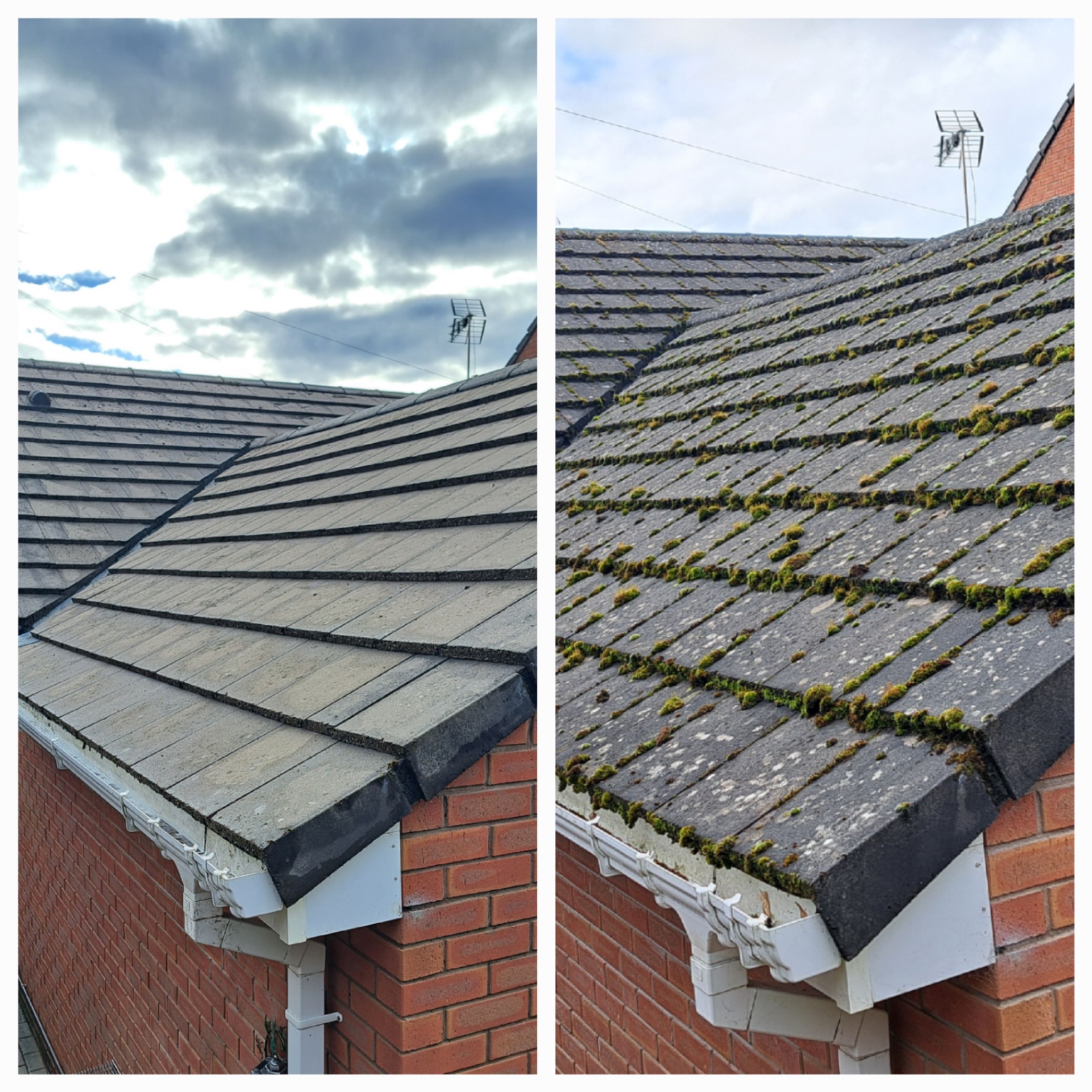 Roof moss removal